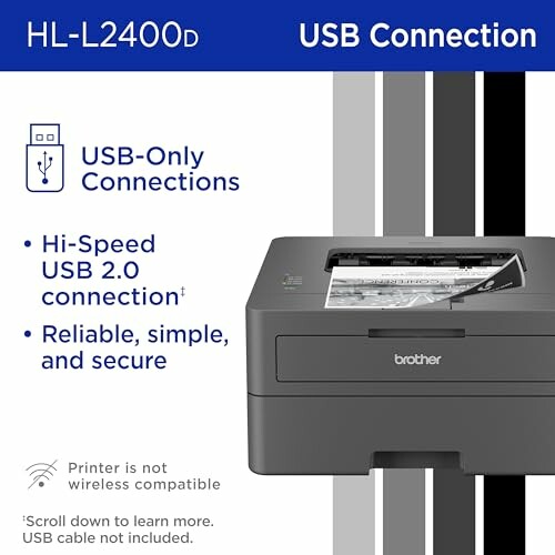 Brother HL-L2400D printer with USB connection features.